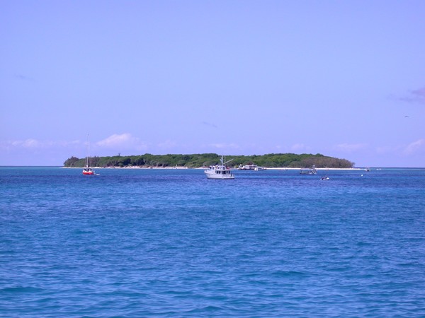 Lady Musgrave Island